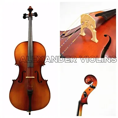 Advanced 3/4  Size Cello Professional Setup W/Helicore Strings & France Bridge • $1285