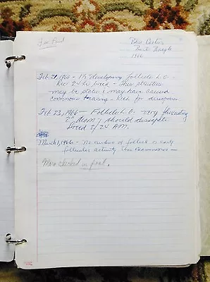 1966 A HORSE BREEDER'S BINDER W/150-200 Handwritten & Official Sheets MARES BRED • $120