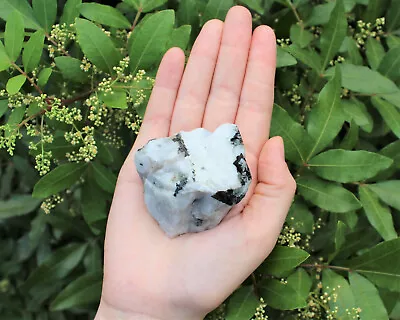 LARGE Rough Rainbow Moonstone Chunks 2  - 3  Choose Amount (Raw Jumbo Crystal)  • $6.80