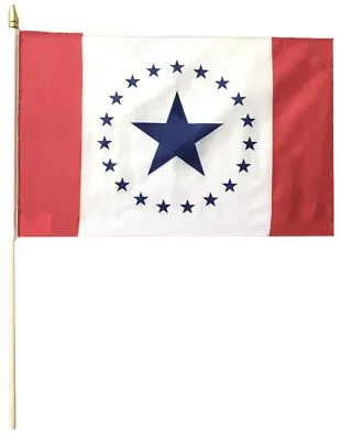 Mississippi Stennis 12 X18  68D Rough Tex Nylon Wooden Stick Flag 24  Staff • $8.88