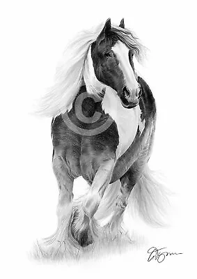 Horse GYPSY COB Pencil Drawing Print A3 / A4 Sizes Signed By Artist Gary Tymon • £8.99