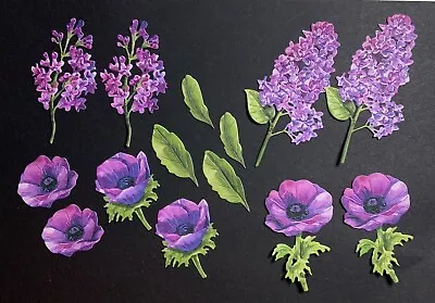 £2.70 • Buy Stephanies Lilac Flowers Die Cuts Card Toppers