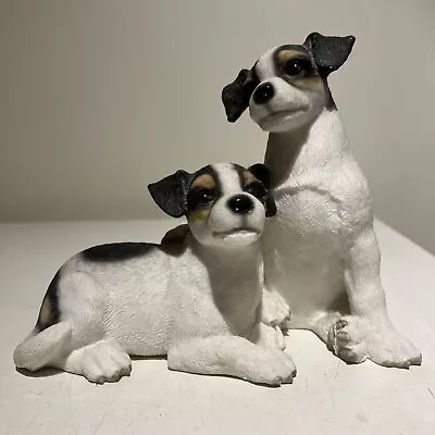 Leonardo Jack Russell Puppies • £8.50