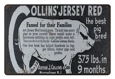 1920 Collins' Jersey Red Pigs Metal Tin Sign Modern Art Posters • $15.88