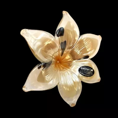 Murano Art Glass Clear Encased 6 Petal Flower Black Gold & Orange With Stem 5”  • $22