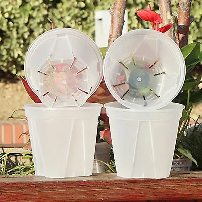 Clear Plastic Orchid Pots With Holes Transparent Flower Pot Succulents Plant • $9.49