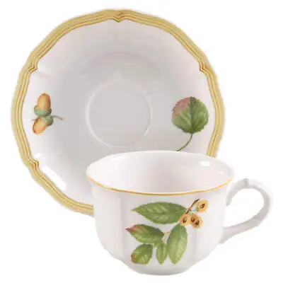 Villeroy & Boch Parkland Cup & Saucer 3419295 • $23.99