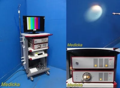 2010 R. Wolf 5512 Endocam Endoscopy Tower W/ CCULight SourcePrinterCart~31156 • $1575.49