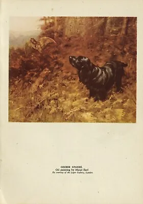 Cocker Spaniel Black Dog 1945 Dog Print Page By Artist Maud Earl • $9.94