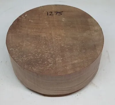 American Black Walnut Woodturning Bowl Blank  (1275) (180mm X 67mm) • £20