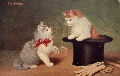 Kittens Cats Kitty In Magician Hat C1910 Vintage Postcard Magic Wand And Gloves • $7.50