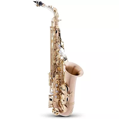 P. Mauriat Le Bravo Intermediate Alto Saxophone Matte Finish • $2979