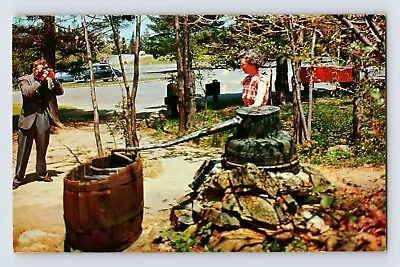 Postcard Virginia Shenandoah VA Skyline Moonshine Still 1960s Unposted Chrome • $4