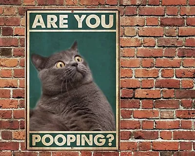 Are You Pooping Cat Metal Aluminum Sign 8 X12  Funny Bathroom Toilet • $12.75