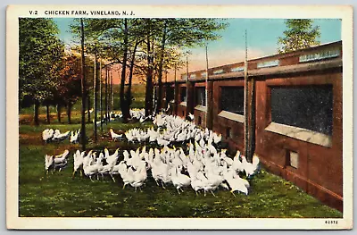 Vintage Postcard - Chicken Farm - Vineland New Jersey • $3.50