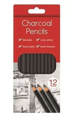 12 Charcoal Artist Pencils For Drawing Sketching Shading Draw Shades Tones Paper • £2.99