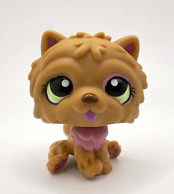 Littlest Pet Shop # 1157 Brown Mulberry Purple Chow Chow Rare Bonus Pet A8 • $13.99