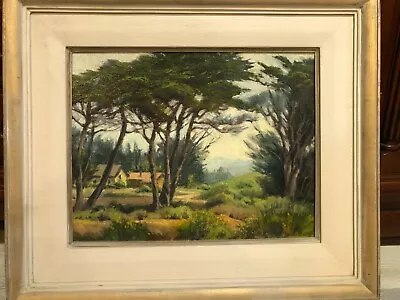 Darwin Duncan (1905-2002) Signed Original Oil On Board  Monterey Cypress   • $999.99