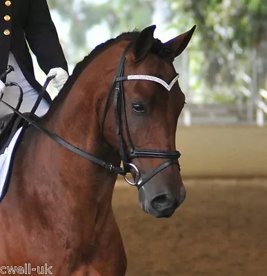 $24.65 • Buy New Designer V Shaped 4 Rows Silver Crystal Browband Size - Full ~  16  BLACK