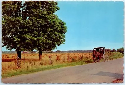 Postcard - Horse Drawn Rig - Goshen Indiana • $3.46