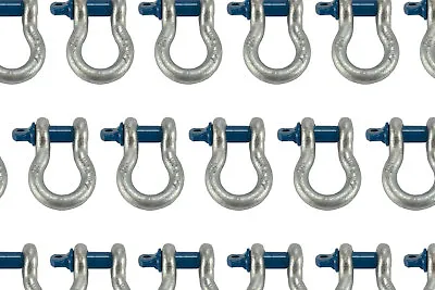25 Lot 1/2  D Ring Bow Shackle Screw Pin Clevis Rigging Jeep Towing 2 Ton • $119.50