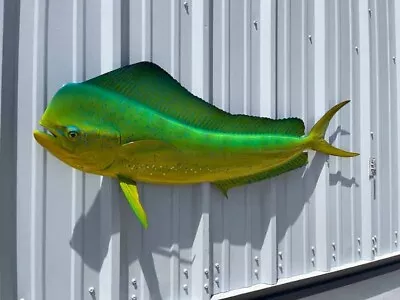 53  Bull Dolphin  Green Hornet  Left Half Fish Mount Replica (aka Mahi Mahi) • $200