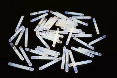 $8.95 • Buy DirectGlow 50 Count 1.5 Inch White Mini Glow Sticks Bulk Party Supply Pack