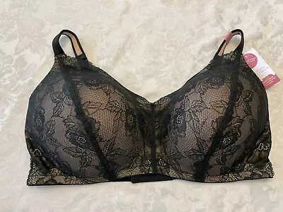 Cacique Lace Mastectomy Collection Lightly Lined Full Coverage No Wire 42F New • $50.21