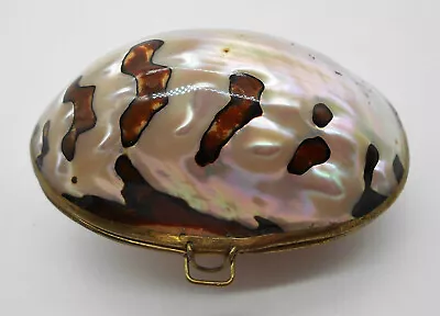 Shell: Gorgeous Brass Egg And Mother-of-pearl Coin Holder  • £51.36