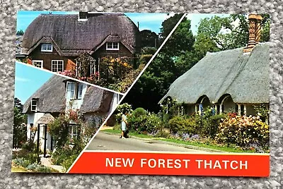 £1.70 • Buy New Forest, Minstead Multiview Postcard