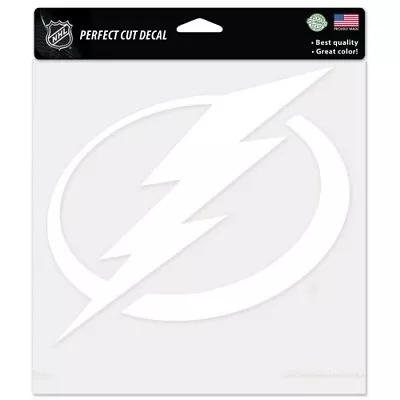 Tampa Bay Lightning White Vinyl Die-cut Decal 8 X8  Perfect For Windows  • $12.83