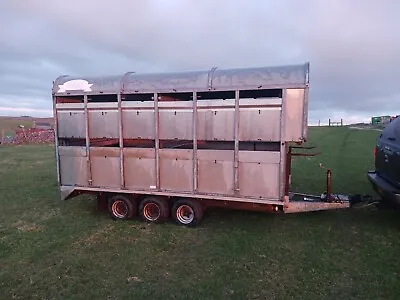 Graham Edwards Tri Axle Cattle/livestock Trailer With Sheep Decks Ifor Williams • £2350