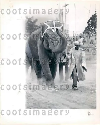 1978 Wire Photo Man In Genie Costume Leads Circus Elephant • £14.46