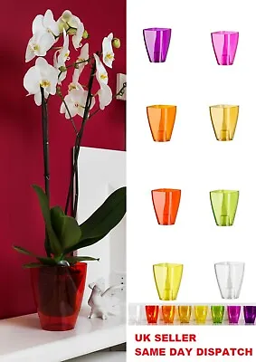 Plant  Orchid Pot Plastic 8 Colours Gloss Square Planter Transparent 12 Cm • £5.99