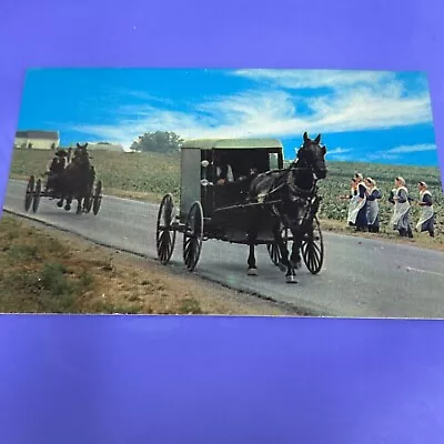 Pennsylvania PA Dutch Country Amish Wives Greetings Buggy Postcard Old Vintage • $4.44