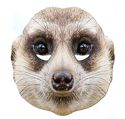 £4.29 • Buy Meerkat Animal 2D Card Party Face Mask Fancy Dress Up Zoo Exotic Theme