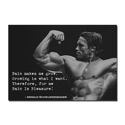 Arnold Schwarzenegger Bodybuilding Poster Motivational Quotes Fitness Art Print • $4.74