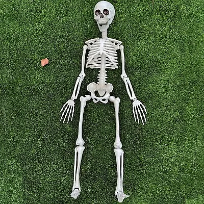 Halloween Hanging Posable Spooky Human Skeleton 3 FT Decoration • $22.95