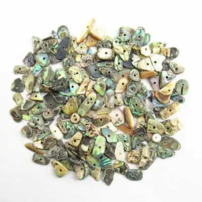 260Pcs Natural Rainbow Abalone Shell Freeform Pendant Bead TJ95392 • $15.76