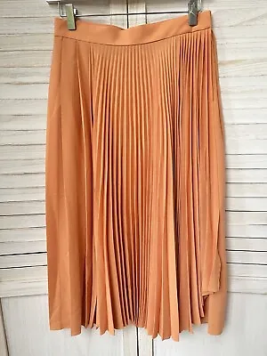 Acne Studios Ilky Pleated Skirt Size 34 • $112