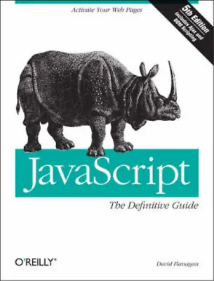JavaScript  The Definitive Guide 5e (Definitive Guide) D Flanagan Used; Good B • £3.35