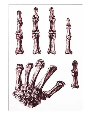 Skeleton Bones Hand Tattoo Costume Accessory • $9.99