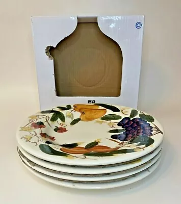 HD Designs Vintage Fruit Hand Painted Fruit Dinner Plates Set Of 4 New In Box  • $59.74