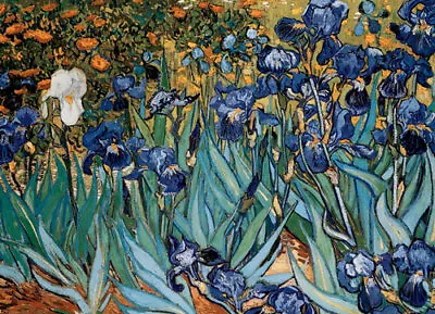 Eurographics Irises - Van Gogh 1000 Piece Jigsaw Puzzle By Vincent Van Gogh • $22.99