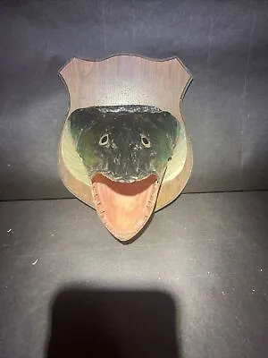 Vintage Wood Mounted Resin Muskie Taxidermy Fish Head • $66