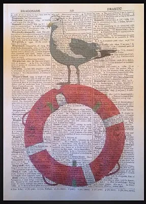 Vintage Seagull Dictionary Page Print Picture Art Nautical Seaside Beach Bird • £5