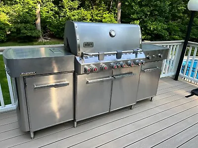 $360 • Buy WEBER Summit® Grill Center Stainless Steel (Natural Gas) With Cover