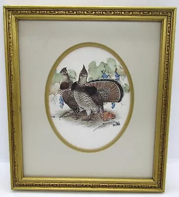 Vintage Don Whitlatch 7.5 X 7  Ruffled Quail Print Professionally Framed. • $43.99