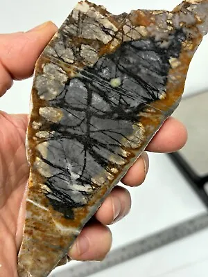 Picasso Marble (Jasper) End Cut Slab Cabbing Lapidary Utah Combo Ship Avail • $17