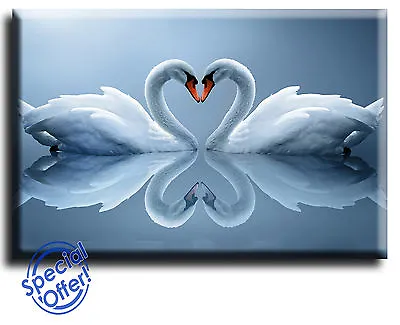 Wall Art Canvas Picture Print Of Love Heart Swan  Framed  Ready To Hang • £13.99